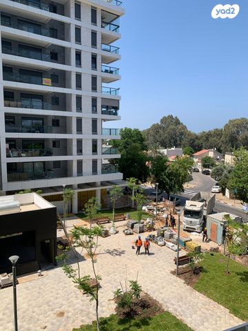 דירה, הר מירון, הרצליה