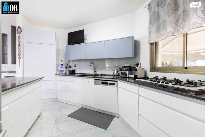 דופלקס, אהוד מנור, קרית האמנים, מצליח, רמלה