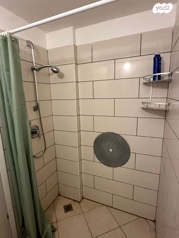 דירה, אריה לובה אליאב, זיו, חיפה