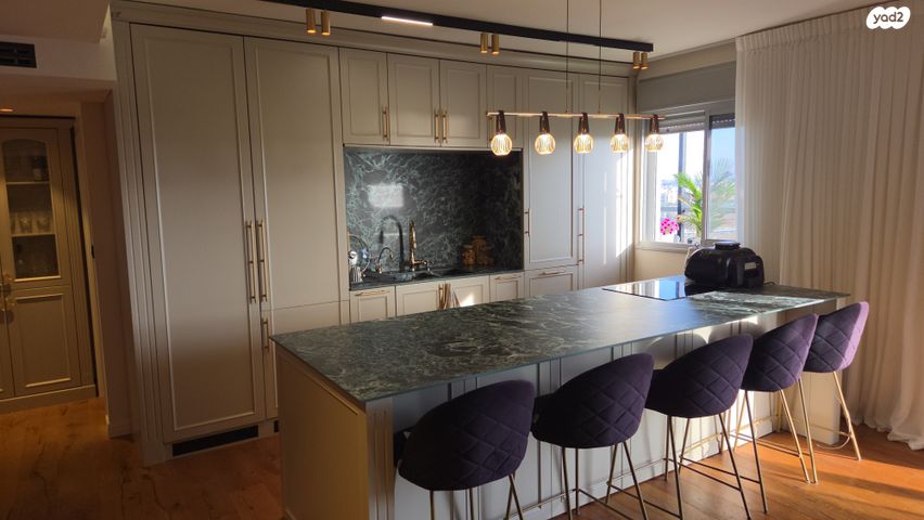 גג/ פנטהאוז, אלחריזי, רמת חן ובן ציון, נתניה