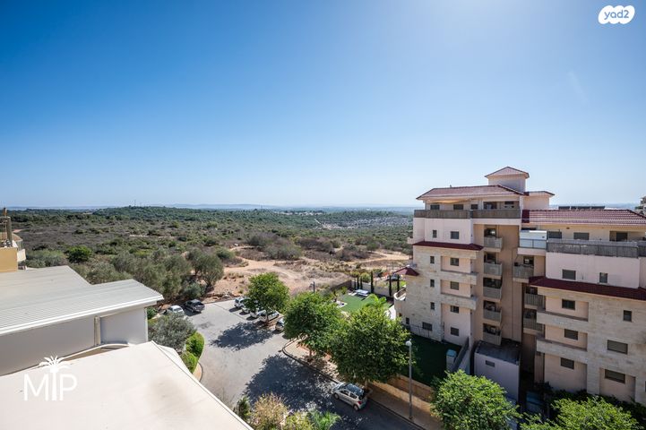 דופלקס, חלומות זכרון, זכרון יעקב