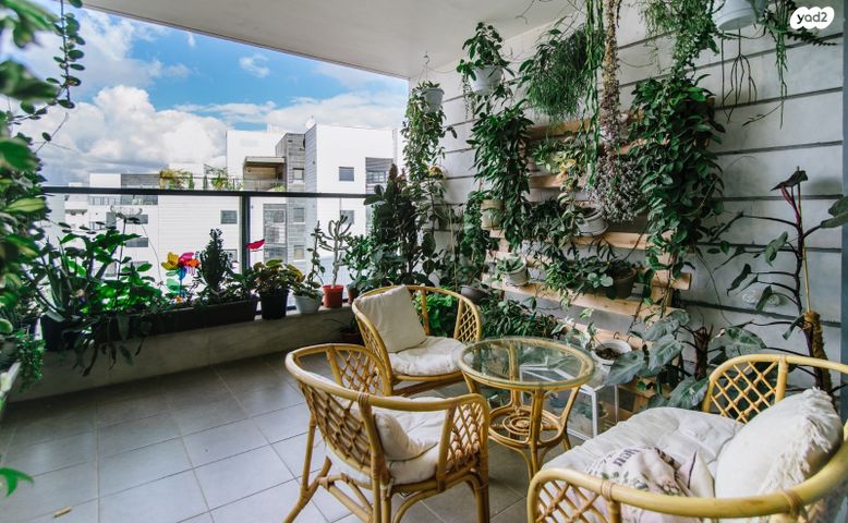 דירה, נלי זקס, פסגות אפק, ראש העין