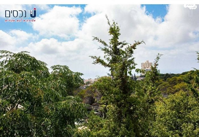 דירה, רמת גולדה, חיפה