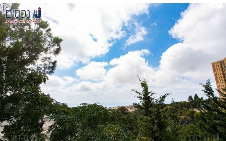 דירה, רמת גולדה, חיפה