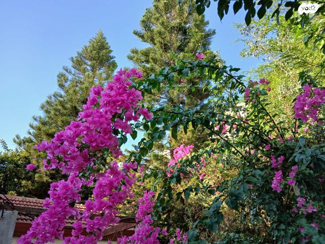 דו משפחתי, רכסים, רכסים