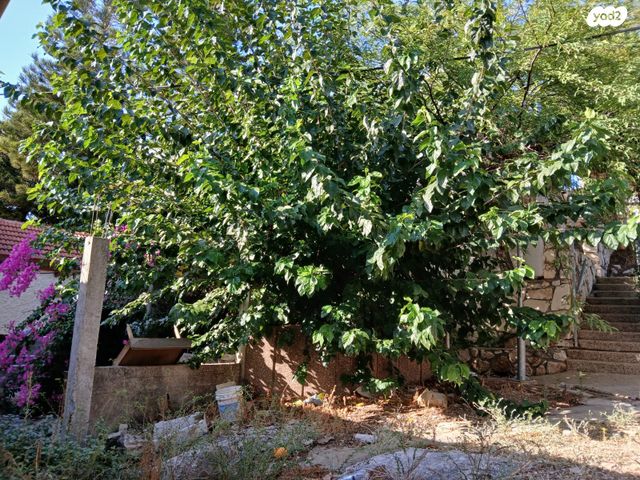 דו משפחתי, רכסים, רכסים