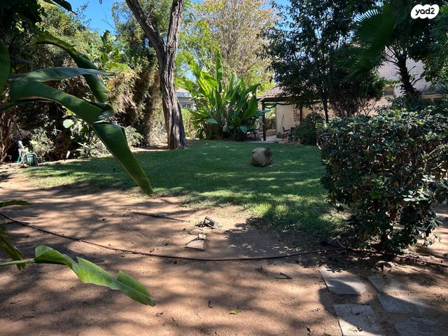 מגרשים, הפועל, נוף ים, הרצליה