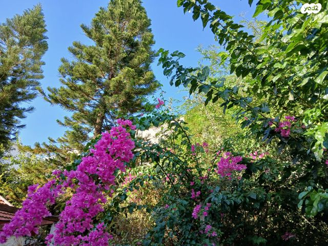 דו משפחתי, רכסים, רכסים