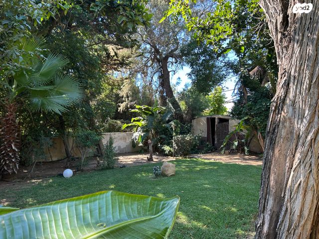 מגרשים, הפועל, נוף ים, הרצליה