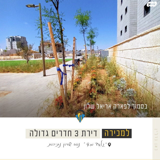 דירה, אריאל שרון, נווה שרון / שער העיר, נתיבות