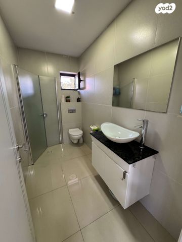 דופלקס, דיזרעאלי, לוד