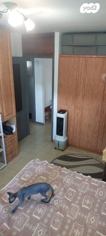 דירה, שבי ציון, אשדוד