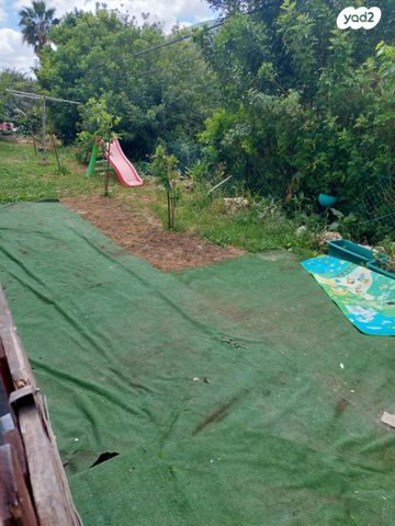 דירת גן, שכונת אלרואי, קרית טבעון