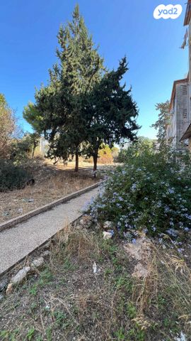 דירה, דרך צרפת, קרית שפרינצק, חיפה