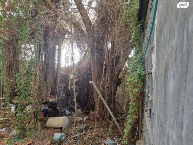 דירה, אחד העם, רמת גן