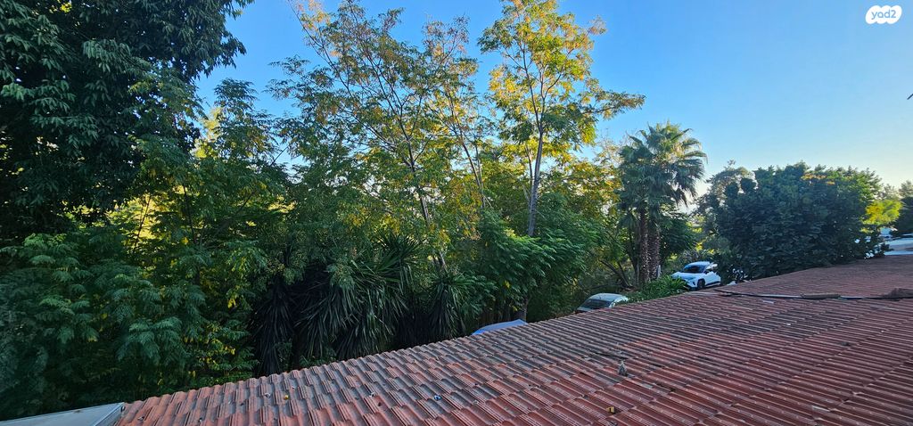 דירה, הנשיאים, רמת אשכול, מגדל העמק