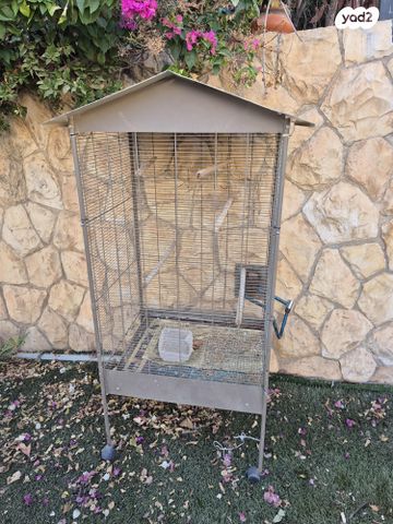 תמונת מודעה - חיות מחמד