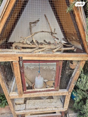 תמונת מודעה - חיות מחמד