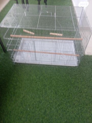 תמונת מודעה - חיות מחמד