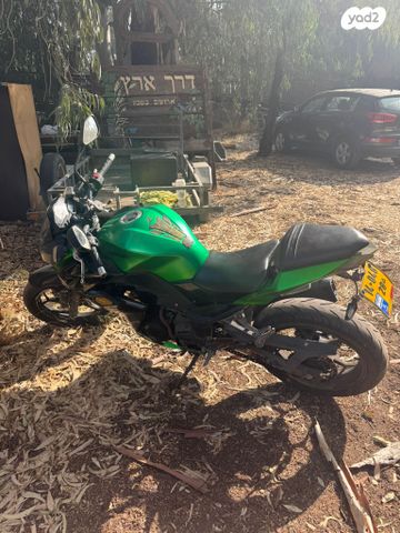 קאוואסאקי Z300