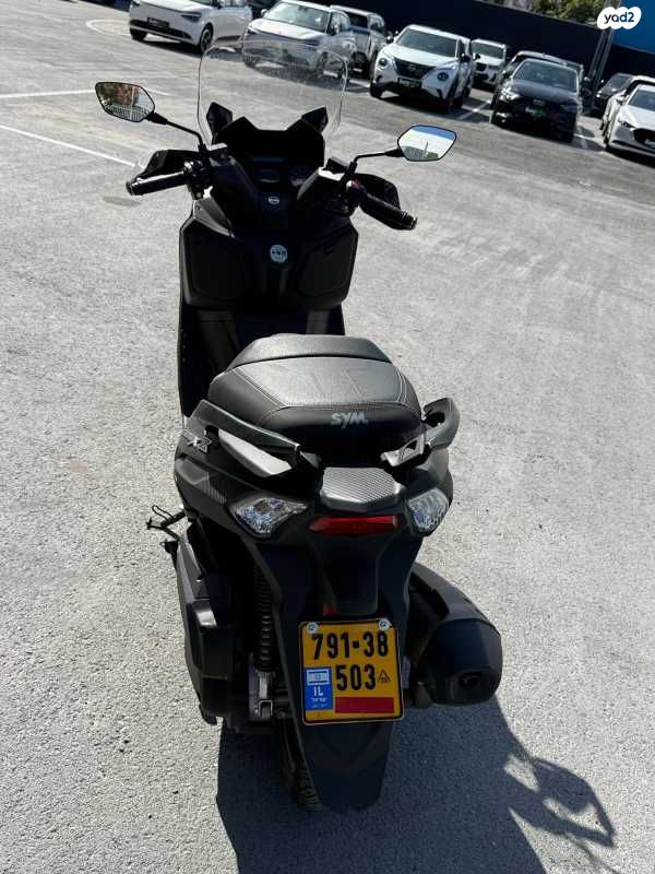 סאן יאנג ג'וי-מקס Z-300