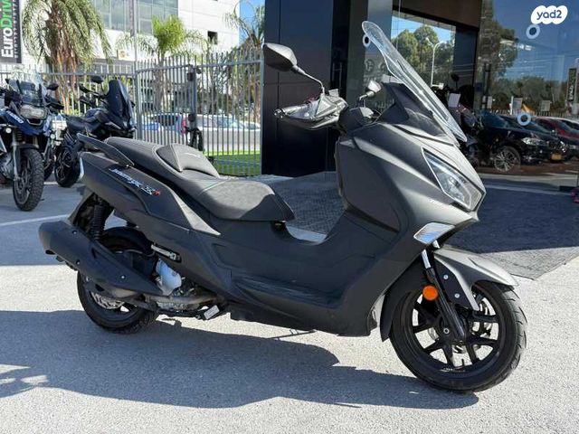 סאן יאנג ג'וי-מקס Z-300