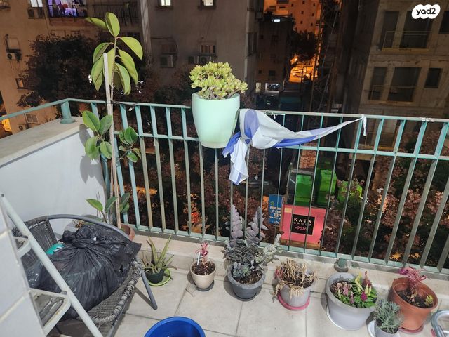 דירה, הרב משה בלוי 31, שיפר, פתח תקווה