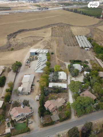 משק חקלאי/ נחלה, כרם 1, שדה משה, שדה משה