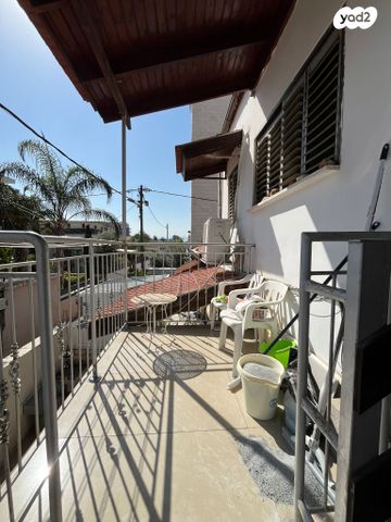 ברדיצ'בסקי 33