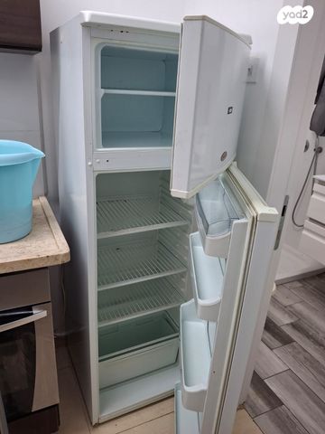 שאול המלך 145