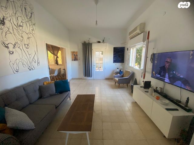 שושנת הכרמל 55