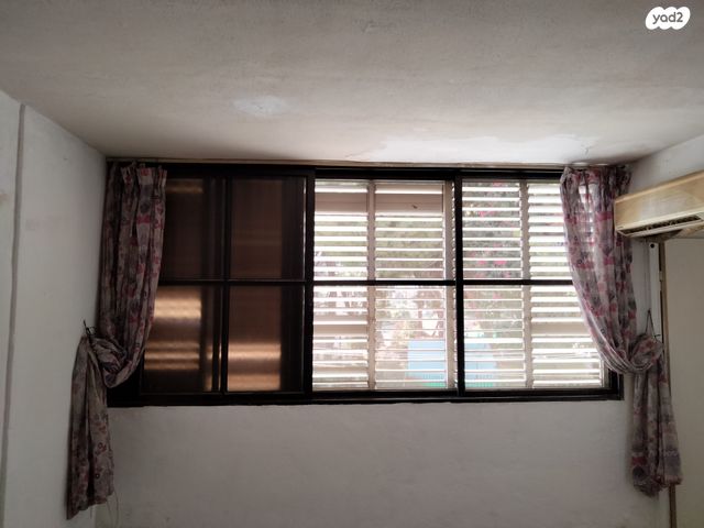 דוד אלעזר 13