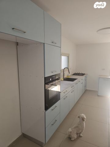 דירה, דקר 23, שבזי, ראש העין