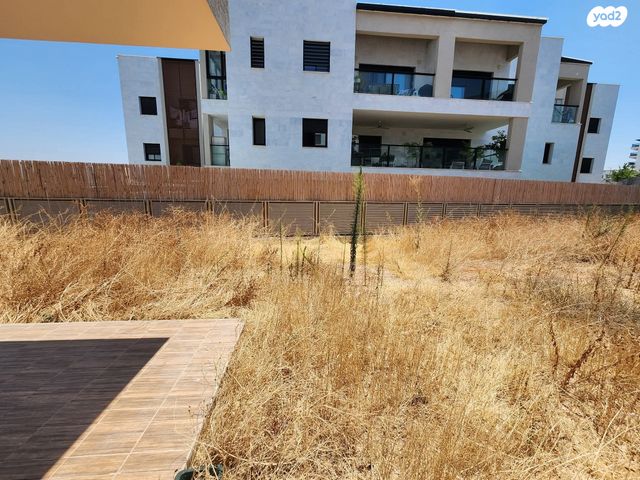 שרה אהרונסון 