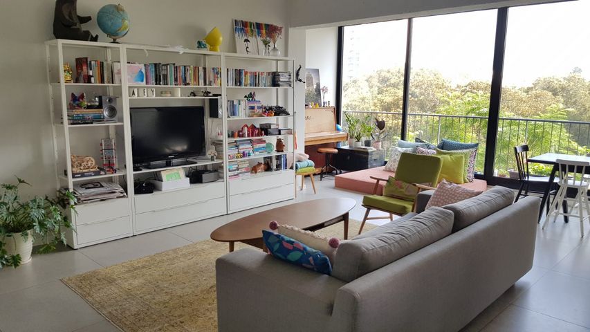 הצפון החדש - דרום