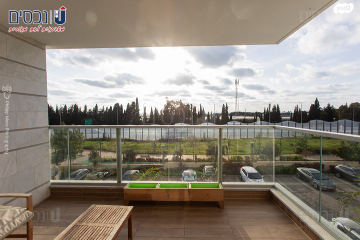 דירה, העגור, החותרים, טירת כרמל