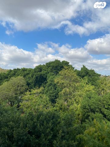 דירה, כפר סבא