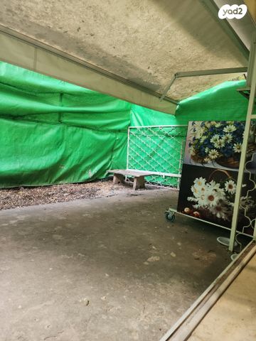 דירת גן, יוסף, הדר מרכז, חיפה