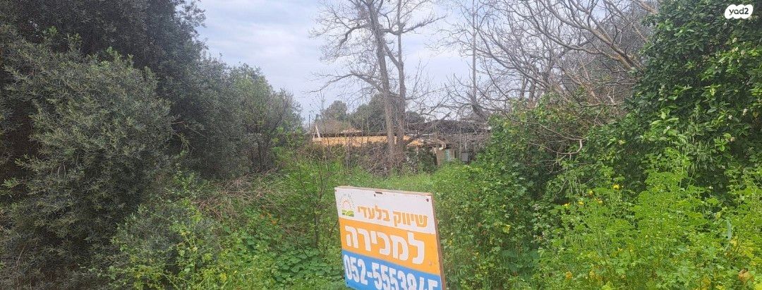 משק חקלאי/ נחלה