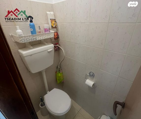 דירה, שגיא ב, לוד