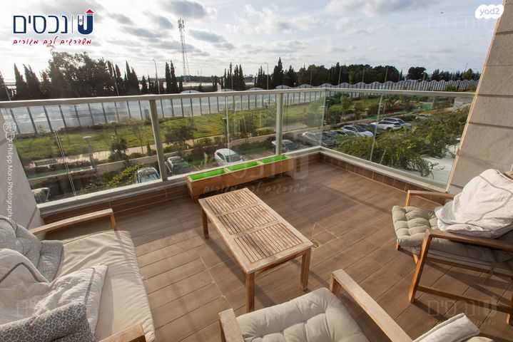 דירה, העגור, החותרים, טירת כרמל