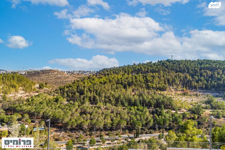 גג/ פנטהאוז, מלחה, מנחת, ירושלים