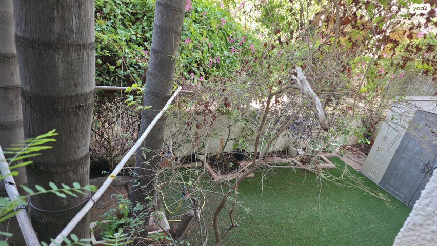 בית פרטי/ קוטג', אוסישקין, מרכז, הרצליה