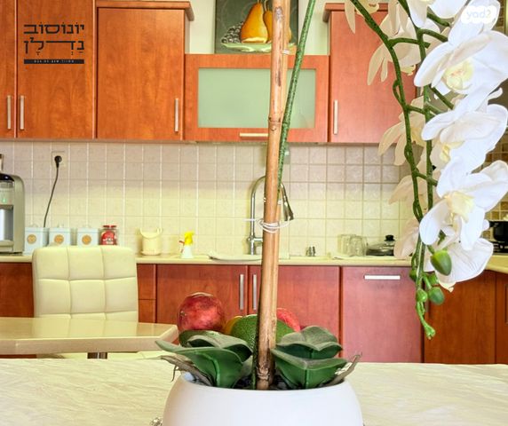 דירה, מרכז העיר, קרית מלאכי