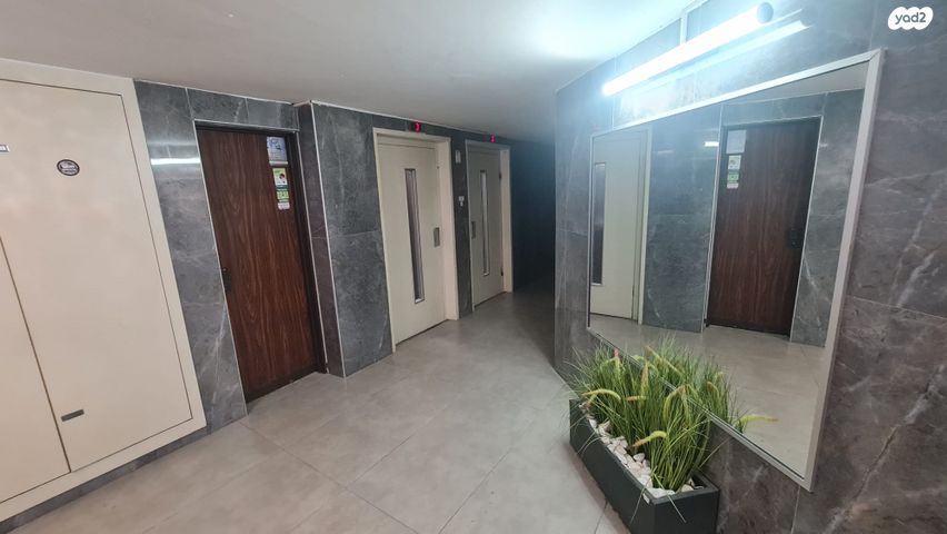 דירה, משה דיין, בן גוריון, חולון