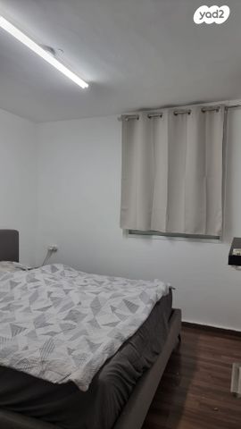 דירה, עין נטפים, שבטי ישראל, שחמון, רובע 7, אילת