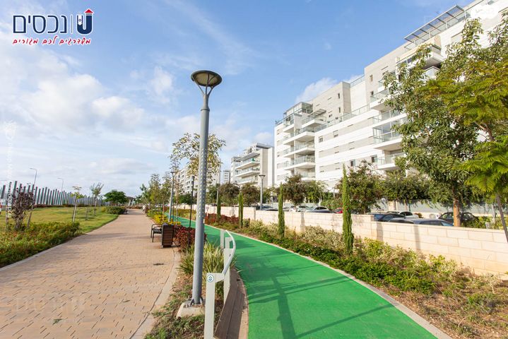 דירה, העגור, החותרים, טירת כרמל