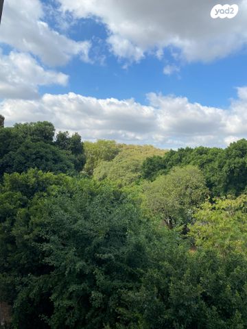 דירה, כפר סבא