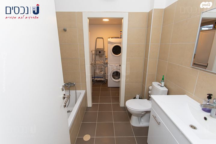 דירה, העגור, החותרים, טירת כרמל