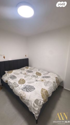 דירה, דימונה